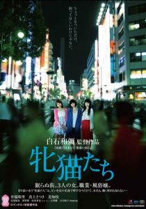 Кошачий рассвет (2017)