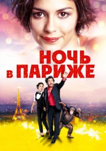 Ночь в Париже (2016)