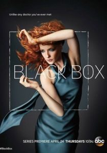Чёрный ящик (2014)