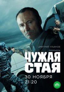 Чужая стая (2019)