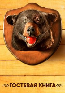 Гостевая книга (2017)