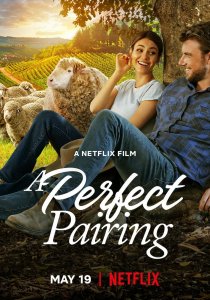 Идеальное сочетание (2022)