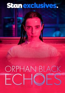 Тёмное дитя: Отголоски (2023)